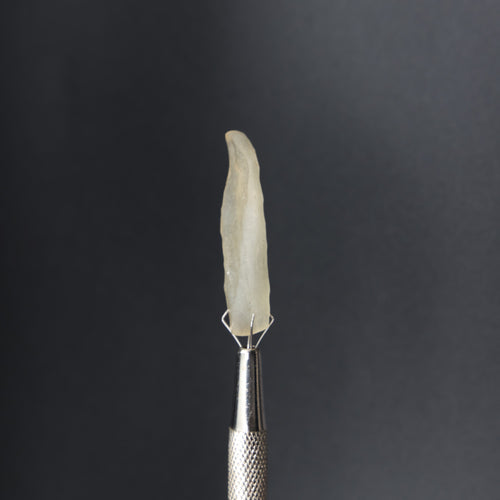 Cristal del Desierto Libio (4061)